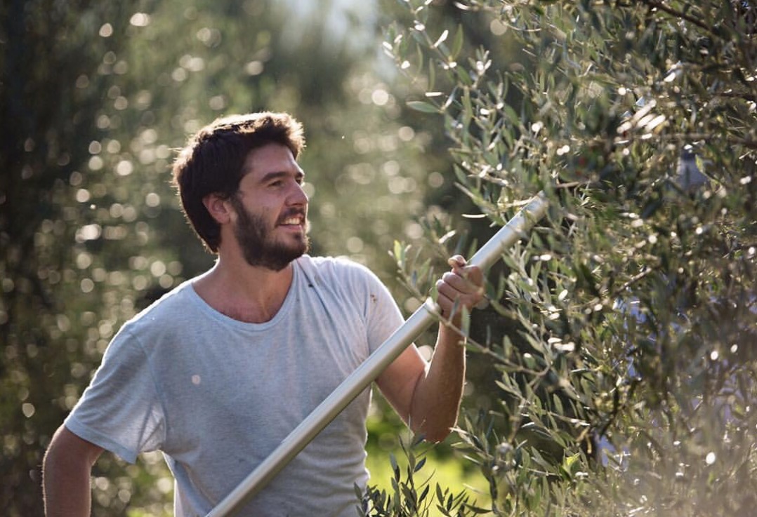 LADOLEA Premium Olivenöl Intense Megaritiki, Bio Medium Koroneiki & Bio Delicate Patrinia - Set (Keramik 3x 200 ml & 3x 500 ml Dose) 