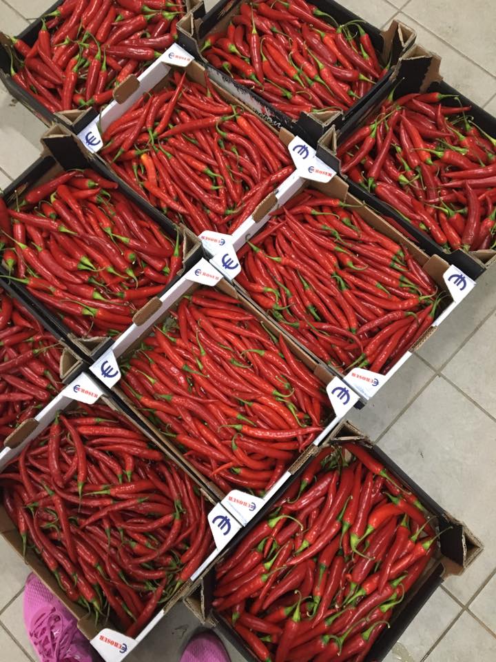 Kyklopas Agrumato Premium Olivenöl mit frischem Chili. 100 ml