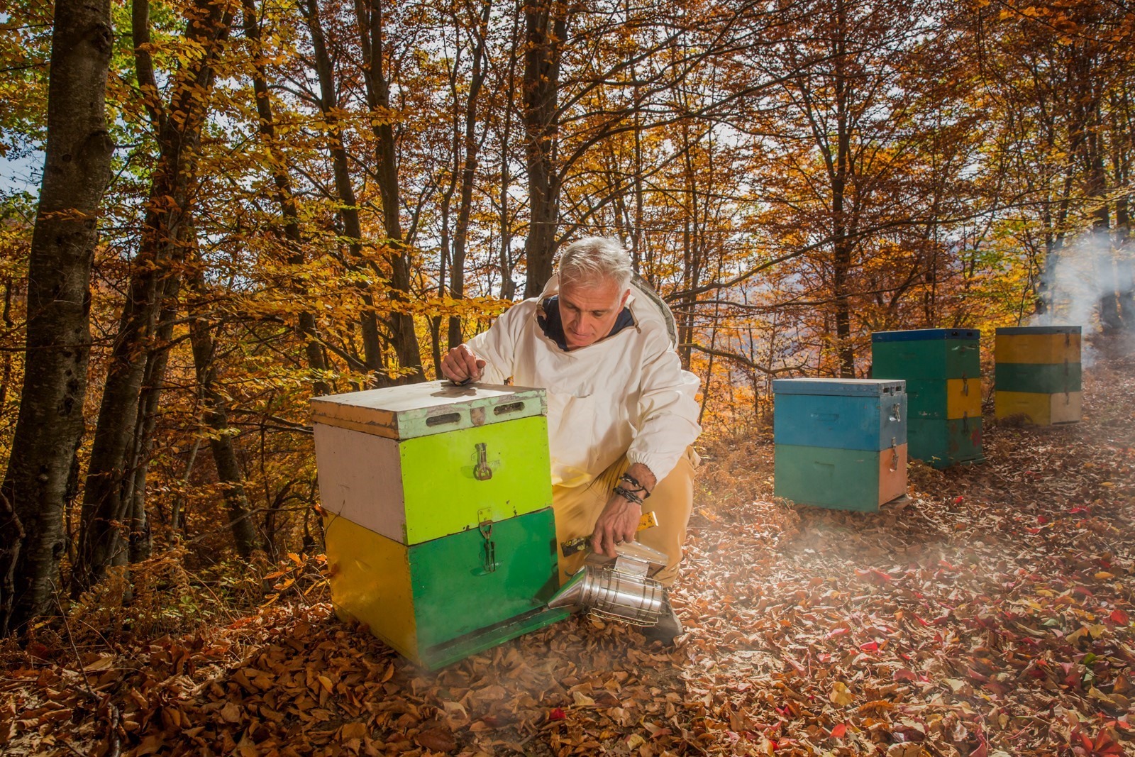 Meli-tis-arkoudas-Foto Bio-Honig mit schwarzem Knoblauch Exquisit aus Drama, 125 g