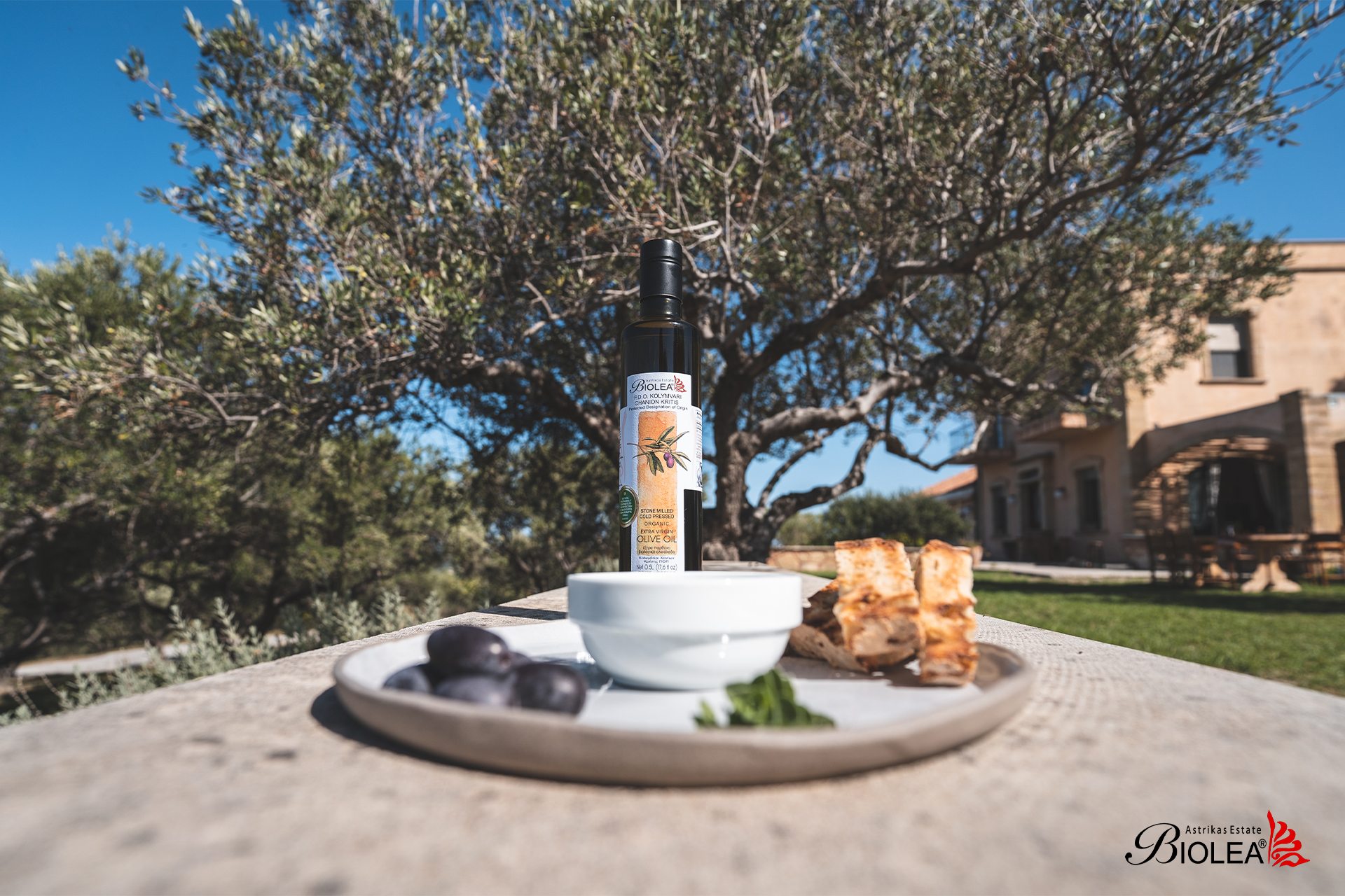 Biolea Bio Premium Olivenöl aus Kreta Ernte 24/25 steingemahlen, 500 ml
