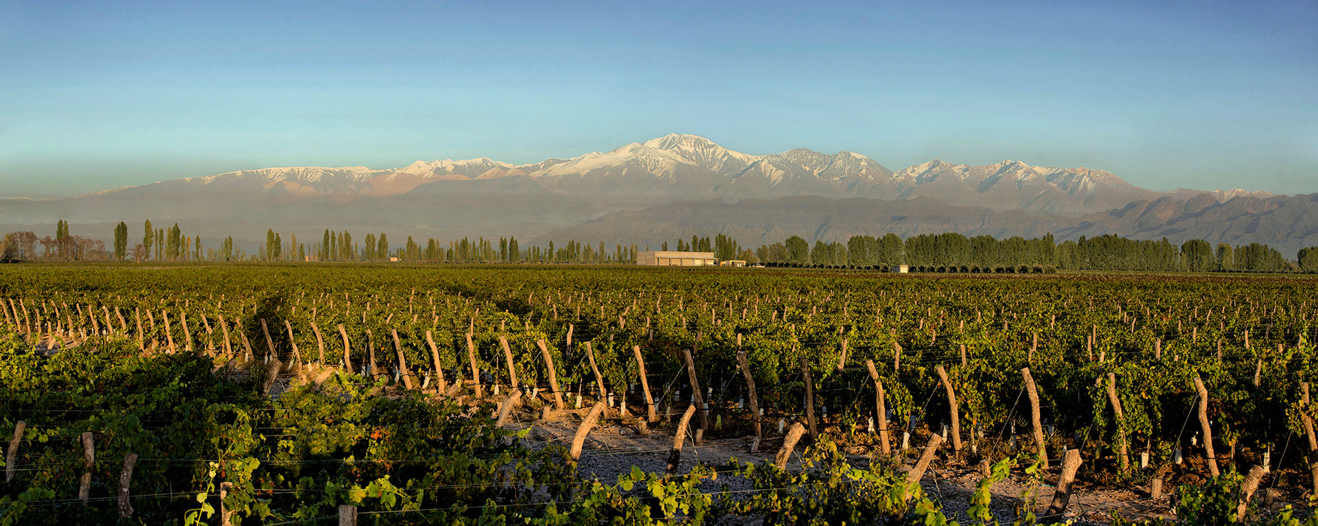 Puntoar-2 2018 Punto Ar Malbec, rot  trocken, 0,75 Liter