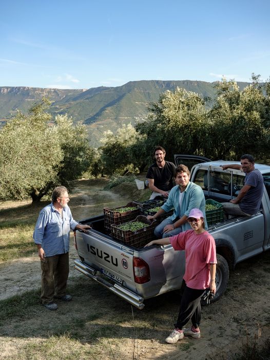 Ladolea-Erntewagen-me-ta-paidiaXznKSoTShNvkr Ladolea Premium Bio Olivenöl Delicate Patrinia, Neue Dose 500ml