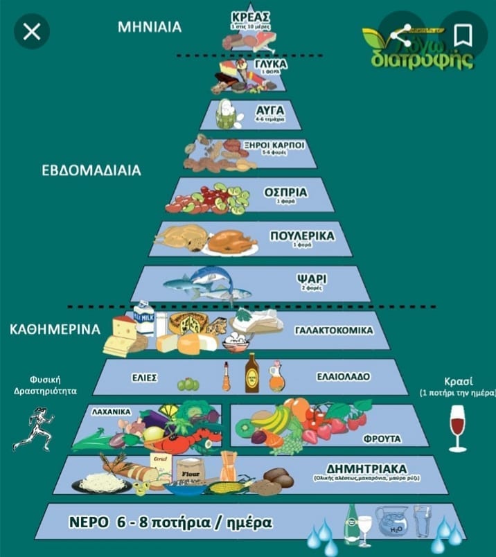 Skoutari-Ern-hrungsampel Skoutari - Ultra Premium Bio Olivenöl aus Kreta- Reich an Polyphenolen Neue Ernte 24/25, 500 ml