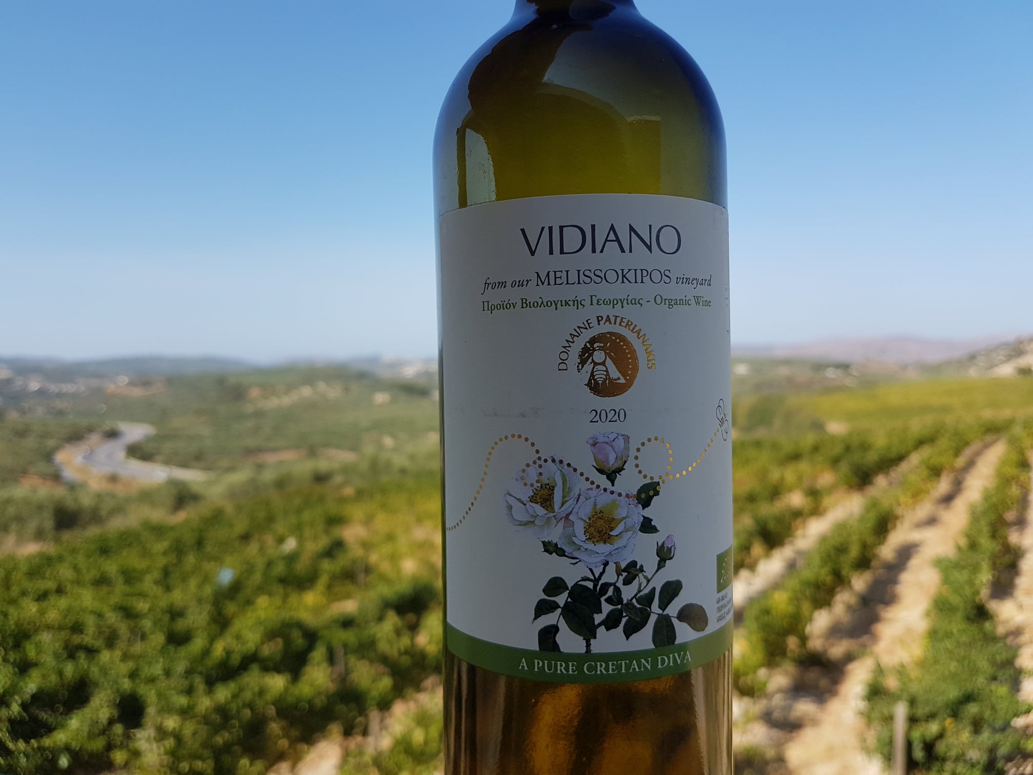2020 Domaine Paterianakis Vidiano Bio Weisswein, 0,75 L