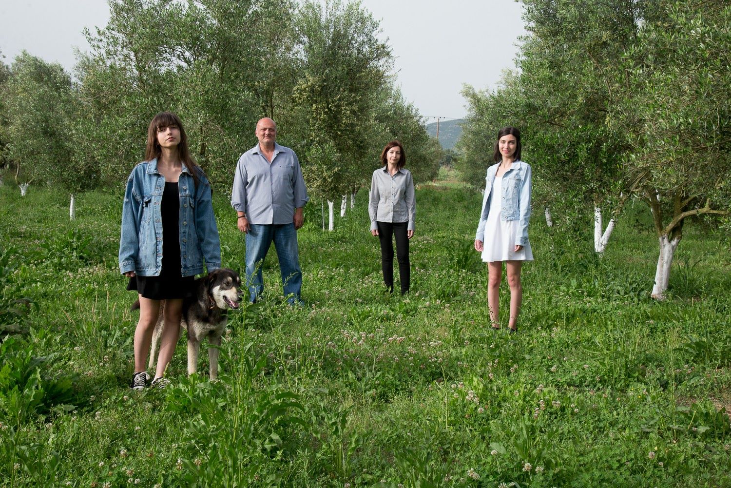 etolea-familyWX75oWewoHSXM Etolea Black Premium Olivenöl Frühe Ernte 22/23 MDH 6/24, 500 ml