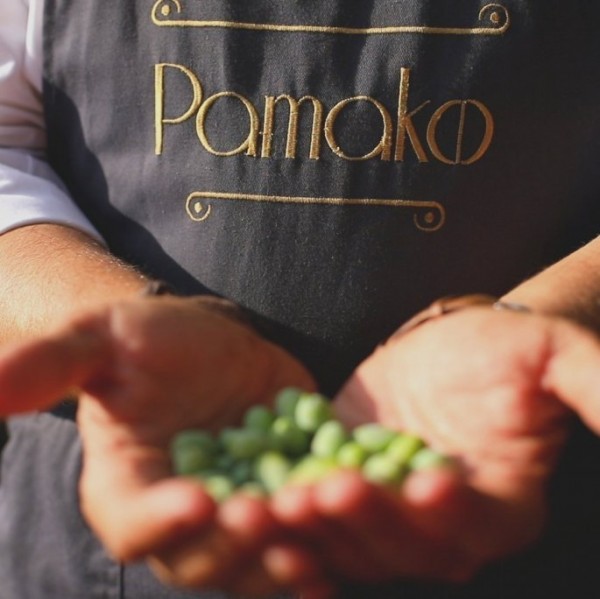 "Pamako" Olivenöl Sommelierschürze mit Tasche